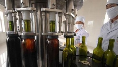 De aangepaste Wijn het Vullen Machine/Bottelen van wijnmateriaal/Vuller van de Wijnfles